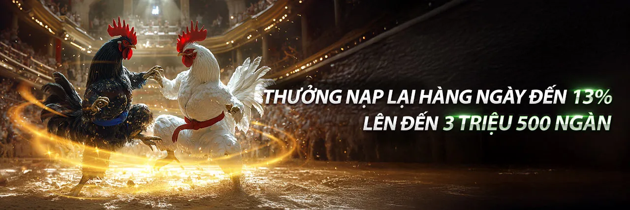Sân vận động lớn với logo aog55 và người hâm mộ đang cổ vũ